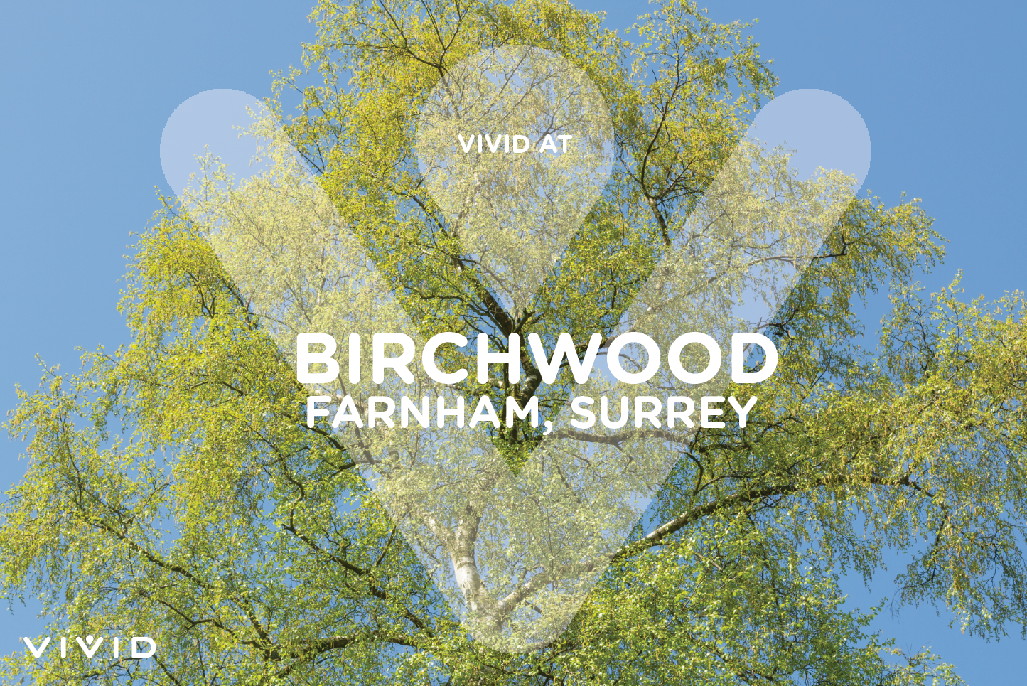Birchwood logo